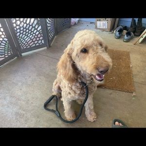 Meet your Posher, Fernando